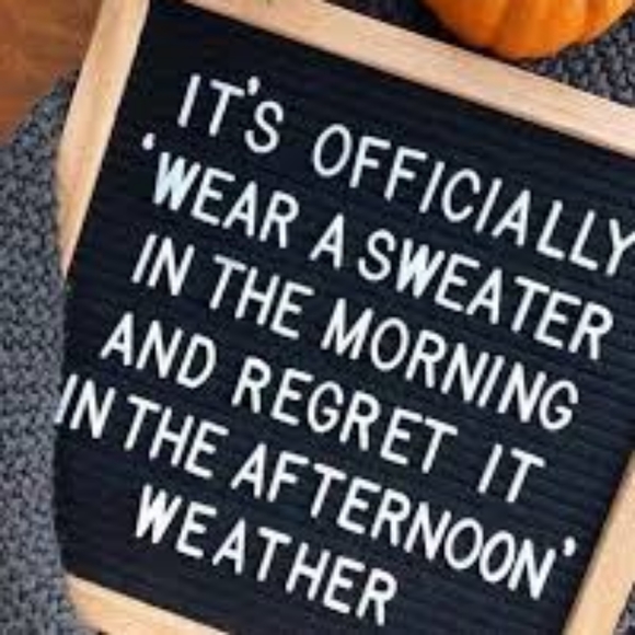 LONG sleeved tops, sweatshirts & sweaters - Picture 14 of 14